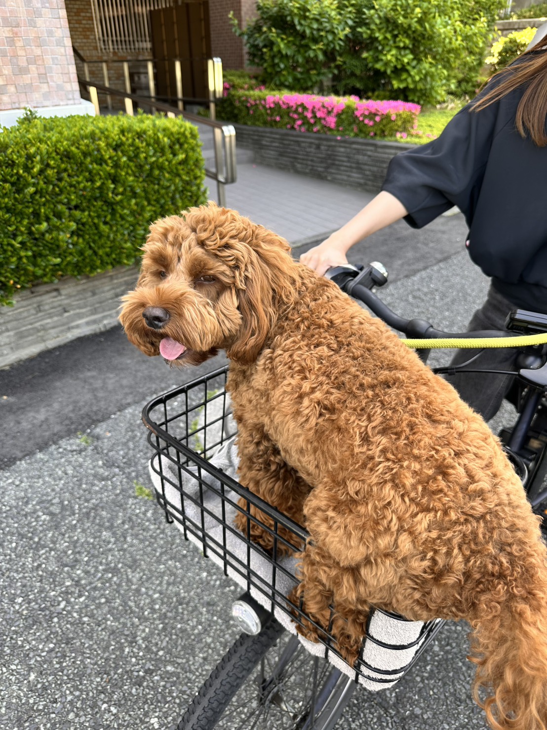 出題中